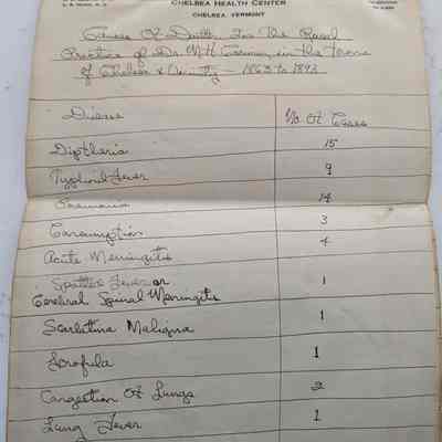 Causes of Death 1863-1893