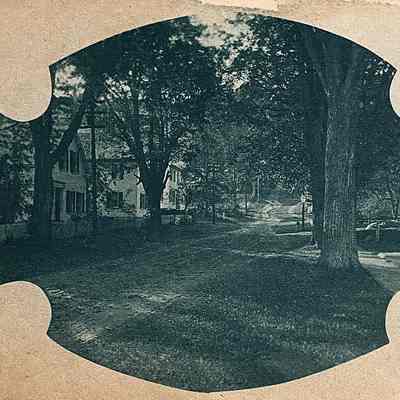Maple Avenue