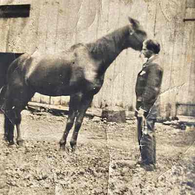 Man Showing Horse