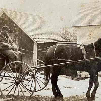 Horse and Wagon Ride