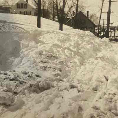Snow Scene