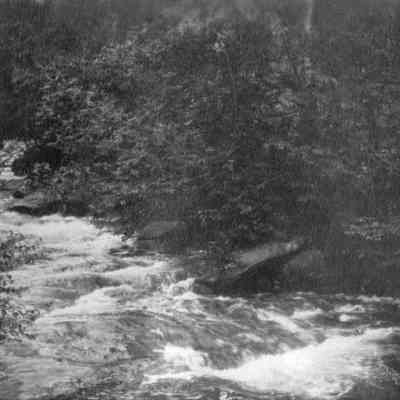 River view 6-0324