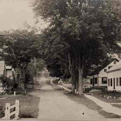 Maple Avenue
