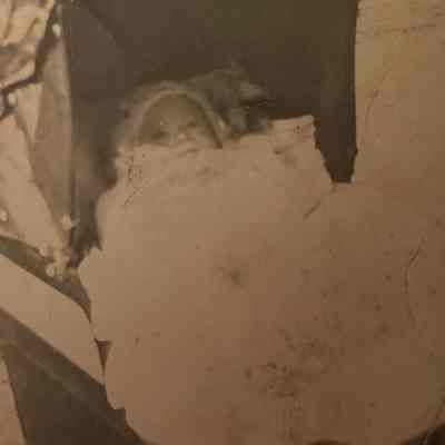 Baby in Carriage