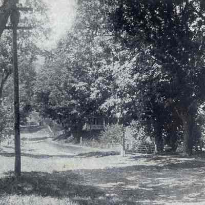 Maple Avenue