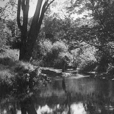 Man fishing 6-0339