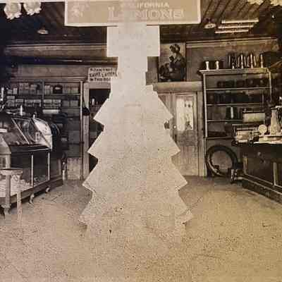 M. George Store