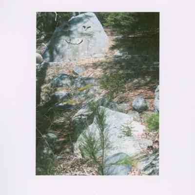 Two Turtles on a Boulder (wide shot). From photo collection of Hart Family private garden in West Gouldsboro, Maine.
