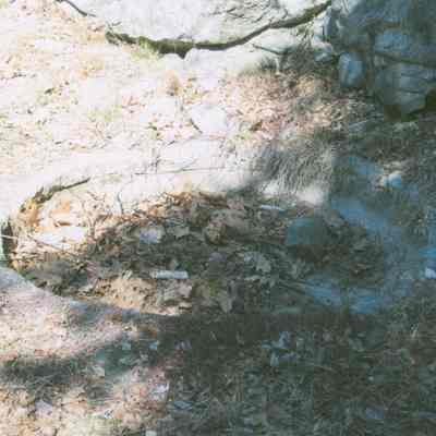 Pool for Goldfish. From photo collection of Hart Family private garden in West Gouldsboro, Maine.