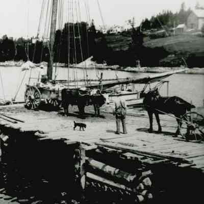 Unloading vessels at the wharf on Jones Cove in West Gouldsboro, ME.
