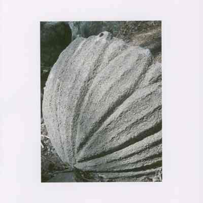 Concrete shell (close up rear view). From photo collection of Hart Family private garden in West Gouldsboro, Maine.