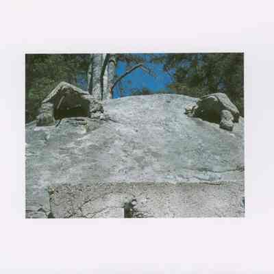 Two Turtles on a Boulder (close up). From photo collection of Hart Family private garden in West Gouldsboro, Maine.