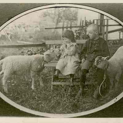 Blanche and Alpheus Kingsley with the sheep