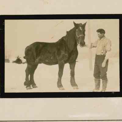 Lewis Bunker with horse.