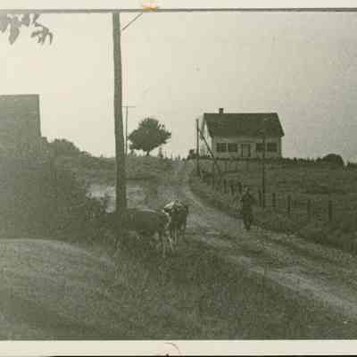 Elisha Jones House and Farm.