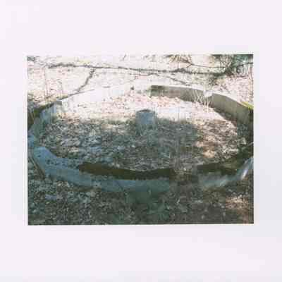 Turtle Shell. From photo collection of Hart Family private garden in West Gouldsboro, Maine.