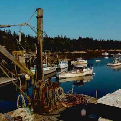 Bunker's Harbor Wharf and Lobster Boats