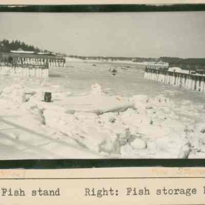Winter view of the shore of Prospect Harbor.