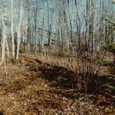 Cottage at Jones Pond Recreation Area