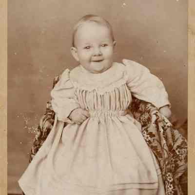 Alpheus Hardy Kingsley.
