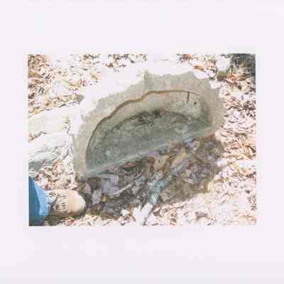 Concrete shell (front view). From photo collection of Hart Family private garden in West Gouldsboro, Maine.