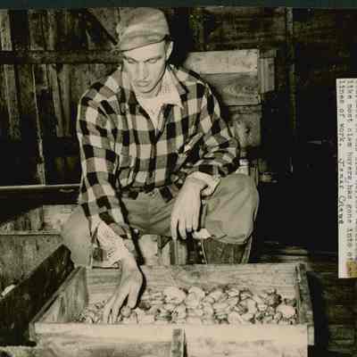 Donald Anderson inspecting clams