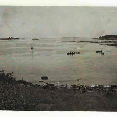 Fishing in Corea, Maine harbor