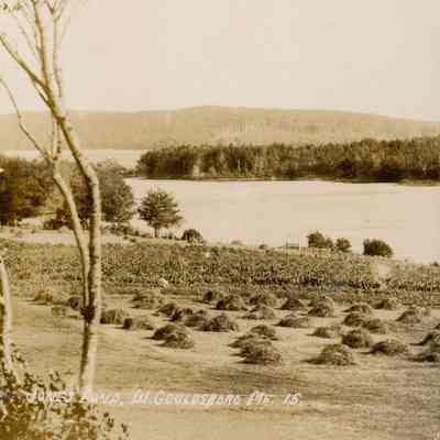 Jones Pond, W. Gouldsboro, ME. 15.