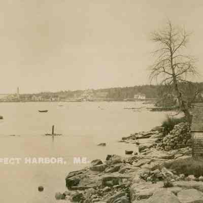 View of the shore of Prospect Harbor, looking south.