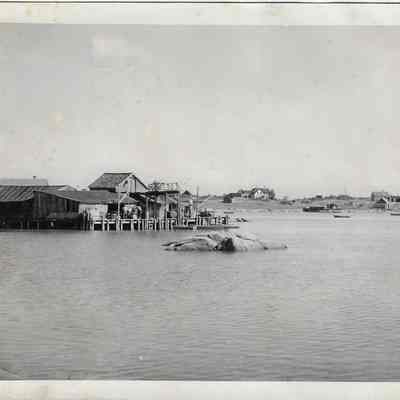 Roy Stewart's Fish Wharf