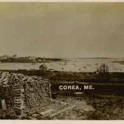 Wood pile near Corea, Maine harbor