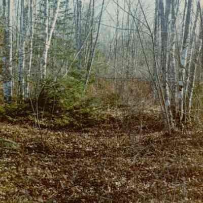 Jones Pond Recreation Area Photos