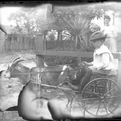 Boy in goat cart/GP1.3484
