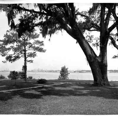 Jacksonville from Front Yard