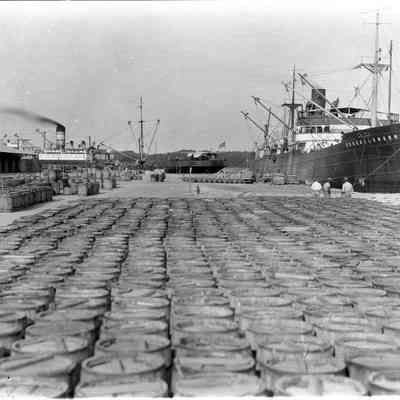 Jacksonville Municipal Docks