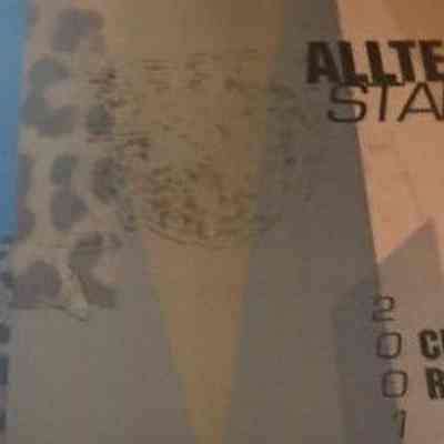Alltel Stadium Club & Suite Renovations