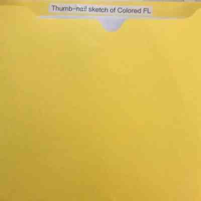 Thumb-nail sketch of Colored Florida : Welcome from Courtesy Committee.