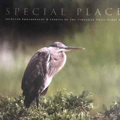 Special places : selected photographs & stories of the Timucuan Trail Parks SystemSpecial places : selected photographs & stories of the Timucuan Trail Parks System Special places : selected photographs & stories of the Timucuan Trail Parks System