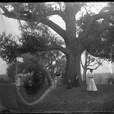 Leah Mary Cox Glass Plate Negatives