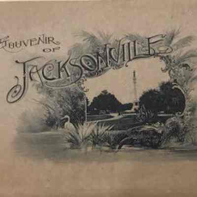 Souvenir of Jacksonville, Fla. : photo-gravures.