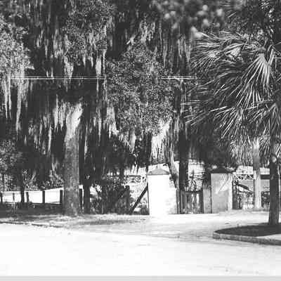 Wooded Area, Jacksonville, 1915