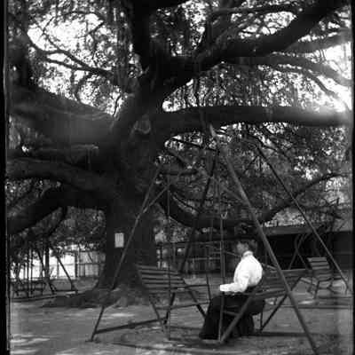 Leah Mary Cox Glass Plate Negatives
