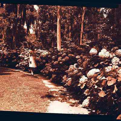 Oriental Gardens