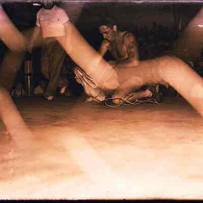 Alligator Wrestling