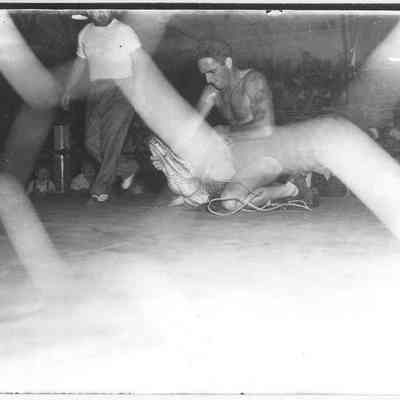 Alligator Wrestling
