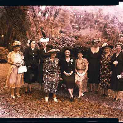Ladies of the DAR