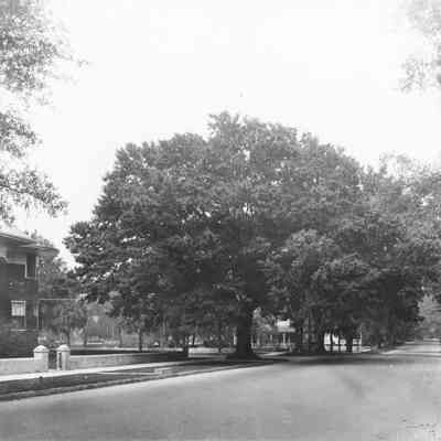 Riverside Avenue, 1920s.
