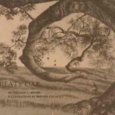 Jacksonville's Treaty Oak