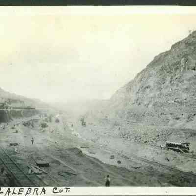 Calebra Cut