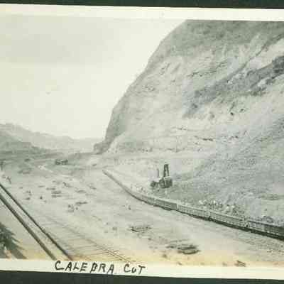 Calebra Cut
